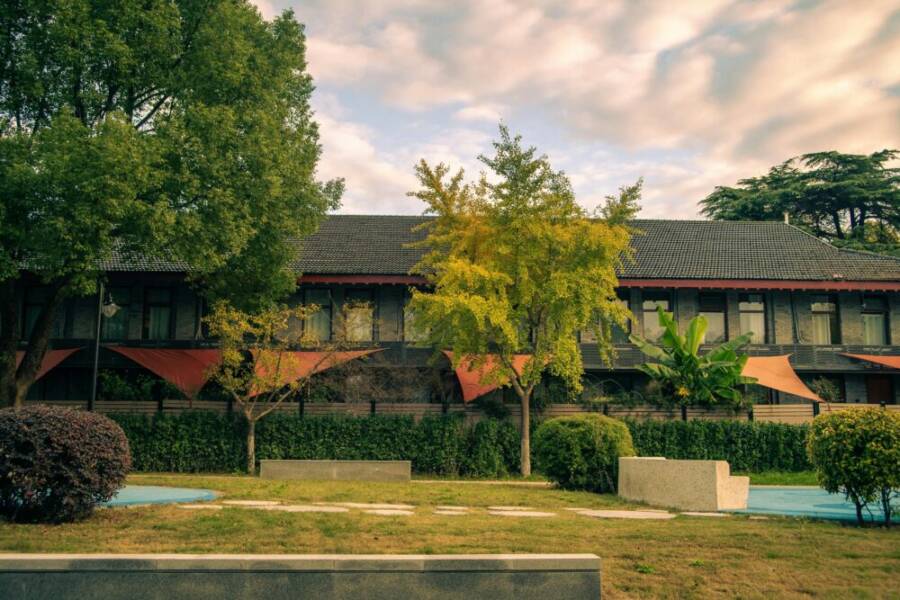 桃園免費景點總整理：小資族必收藏清單（今年最新）