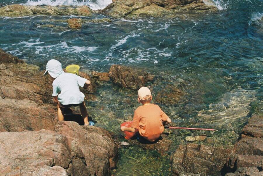 Two children playing and exploring tide pools on a rocky seashore during daytime.