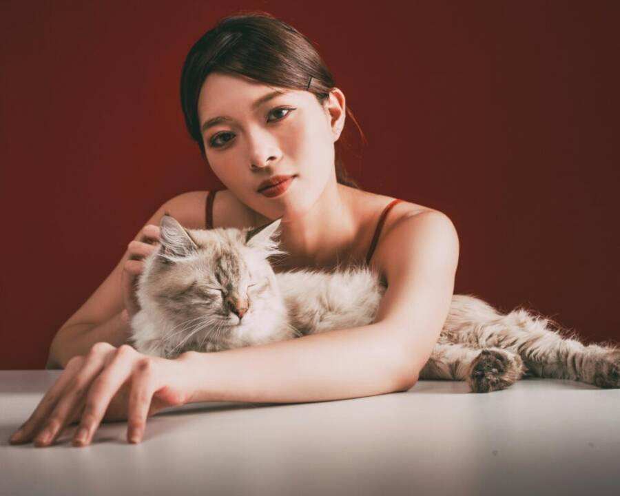 可信任托育與寄養場景