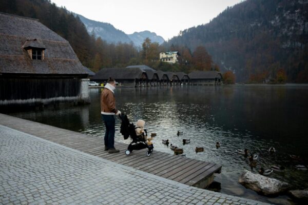 Father and little kid in stroller in casual warm outerwear standing on wooden pier near lake and looking at ducks swimming in calm water