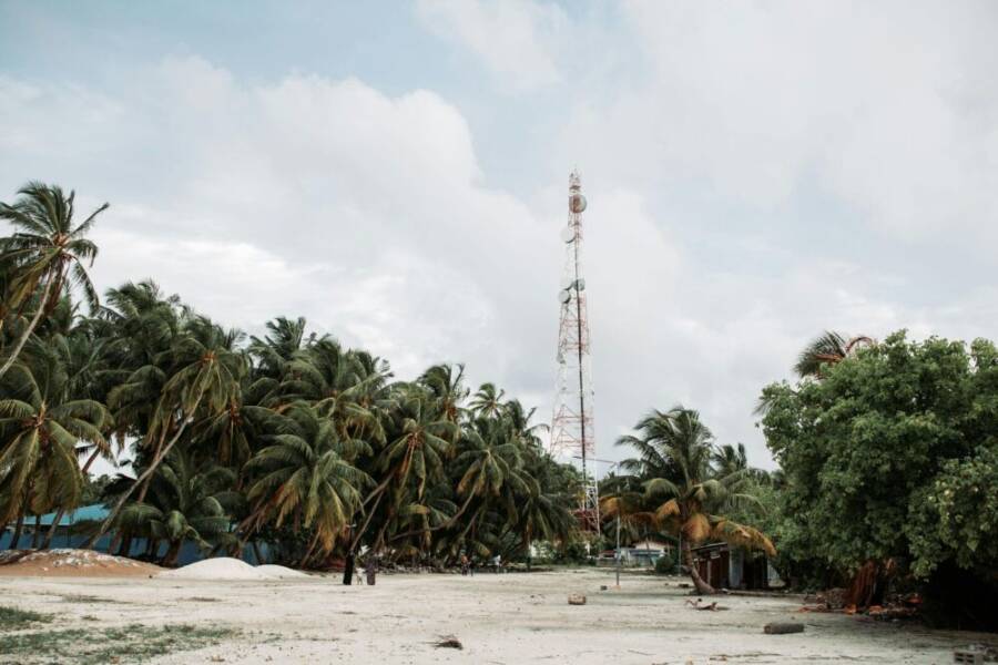 Idyllic tropical island scene with palm trees and a cell tower under a cloudy sky.