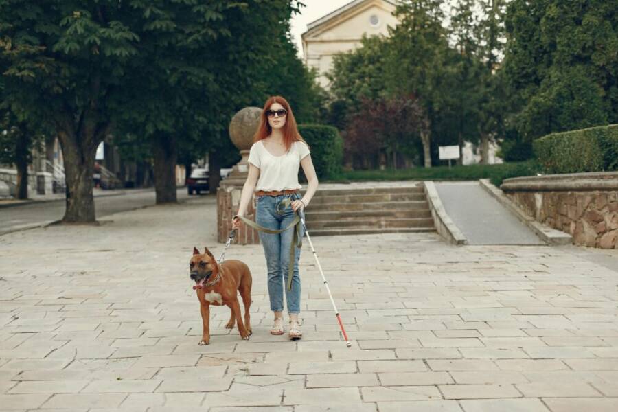 A visually impaired woman with a guide dog strolling through an urban park setting.