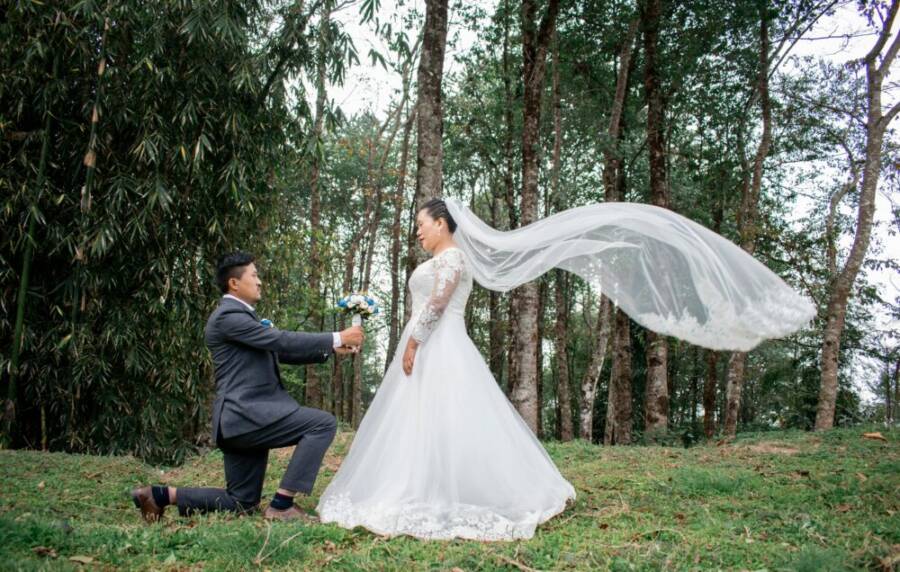 溪頭樹海步道浪漫求婚場景