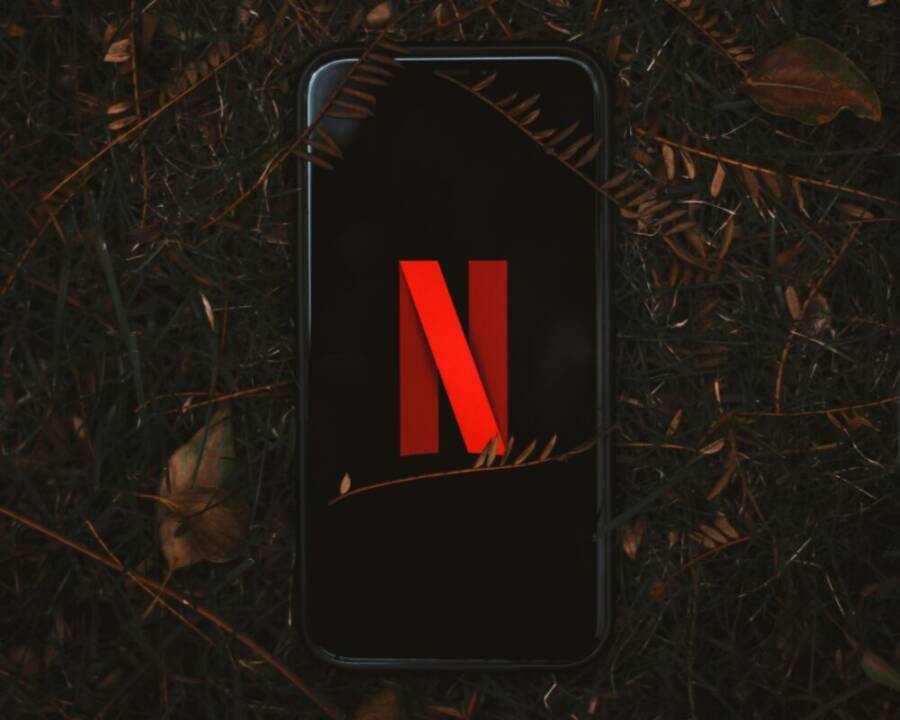 Smartphone with Netflix logo on screen, surrounded by dry leaves outdoors