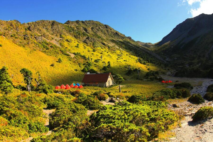 Colorful tents at a picturesque mountain campsite with lush vegetation in Taichung, Taiwan.