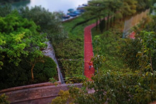 Aerial view of a lush park with a red pathway and distant lake view.