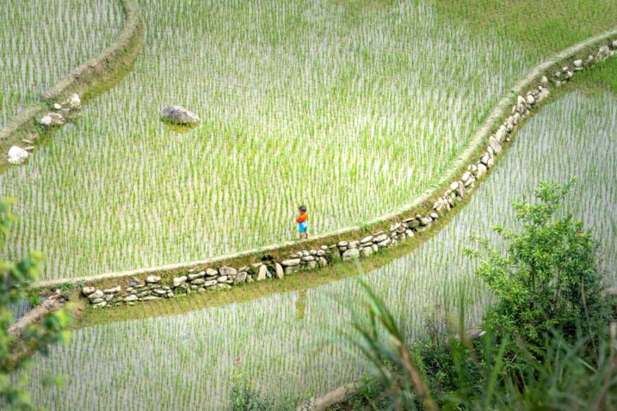 田園散步場景