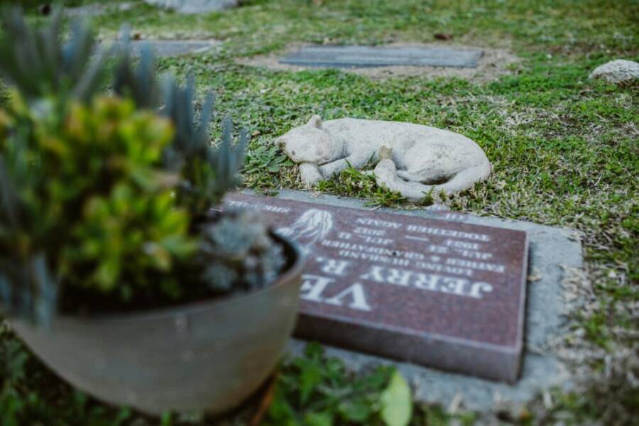 A serene cemetery scene depicting a gravestone with a stone animal statue and plants