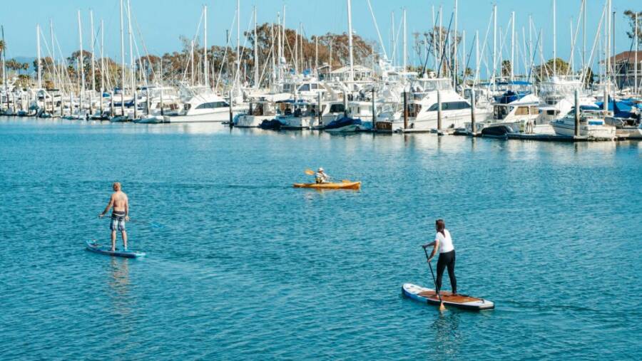 image of water sports near marina