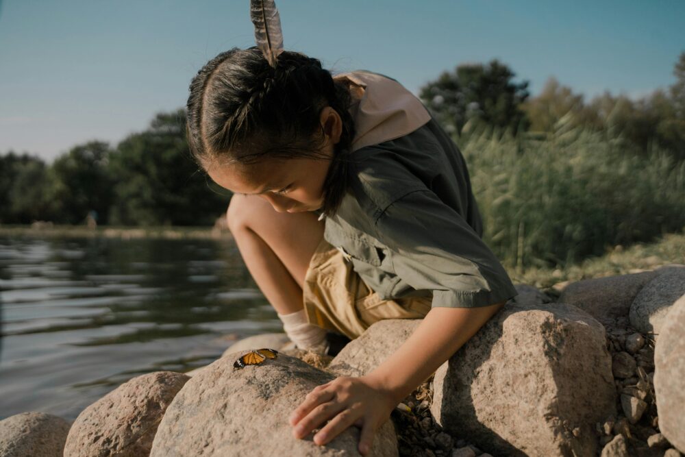 蝶舞與濕地花卉