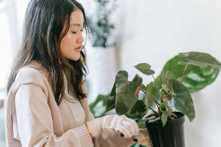 Basic Hand Tools for Gardening from Home Depot: A Practical Starter Guide