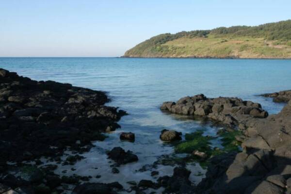 海, 한국, 亞洲的免費圖庫相片