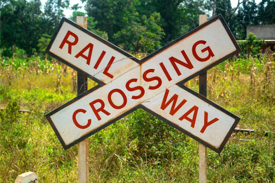 新北療癒小路線：2小時內走完的放鬆步道全攻略