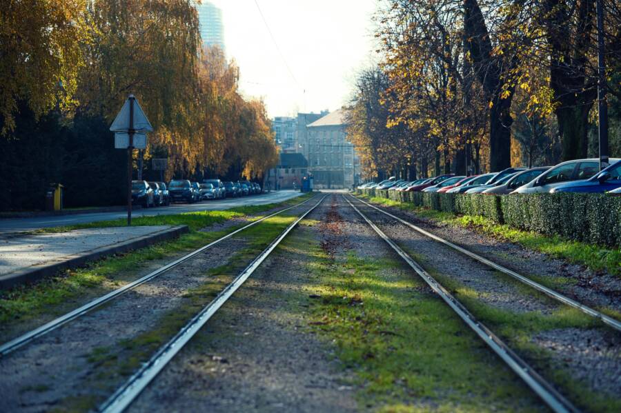 南投國道休息站周邊值得繞路的小景點攻略（日月潭、921教育園區、落羽松步道等實用路線）