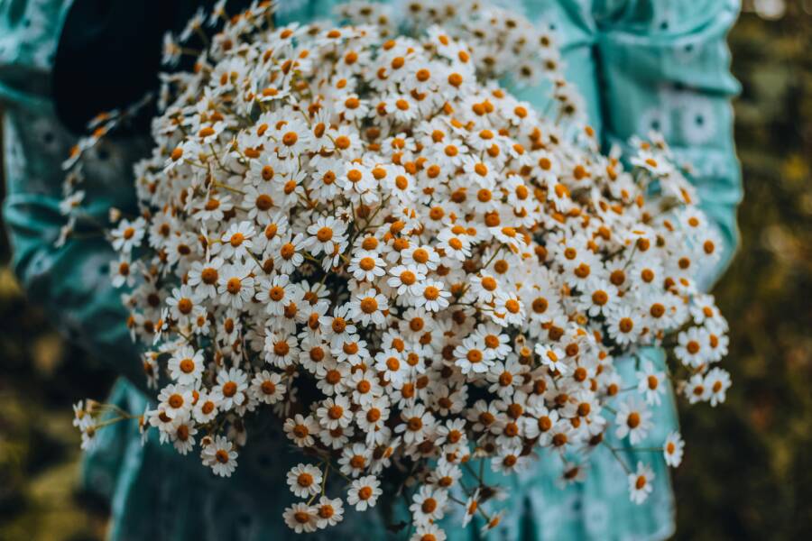 宜蘭梅雨季雨後巷弄味道與畫面：自然氣候、光影與路線探索