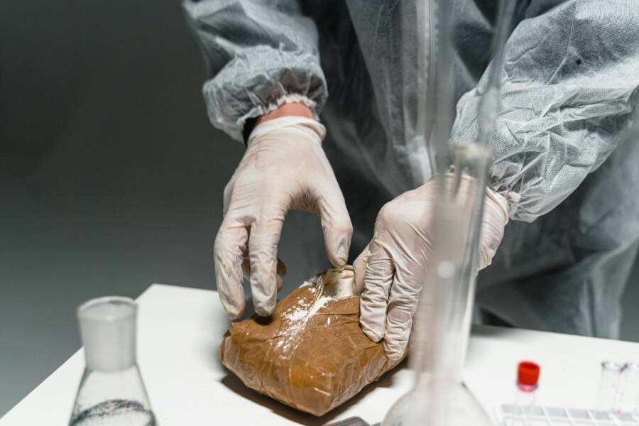 乳膠手套, 分析, 刑事相法證學的免費圖庫
