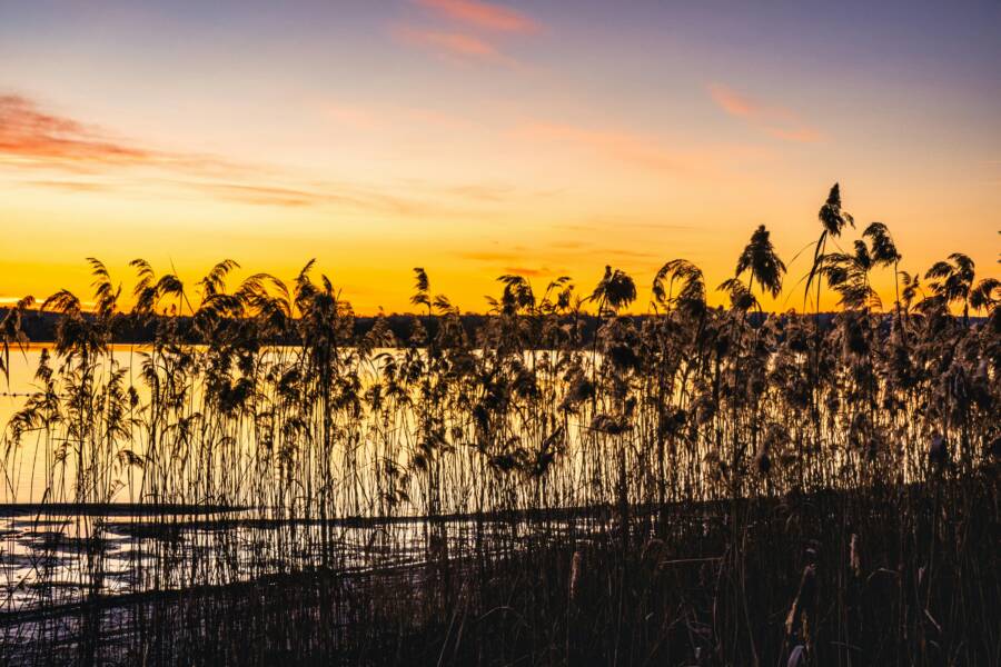 花蓮少見山林祕境與小步道：發現人少景美的自然路線