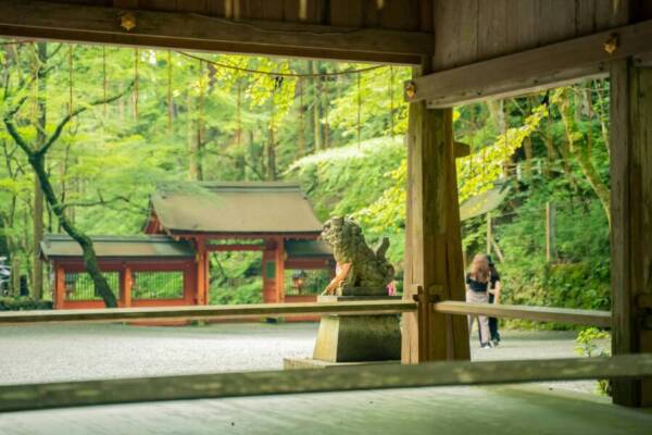 河床、亞洲文化、京都的免費肖像相片