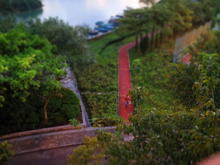 紅色襯衫在紅色路面上行走的人