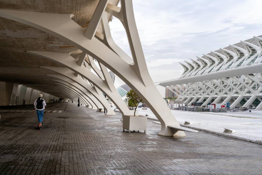 桃園公園的「小驚喜景點」：在地裝置藝術與互動發現指南