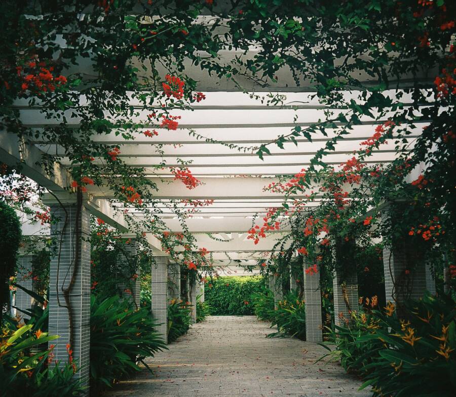 @戶外，asiatisk jardim，cần thơ 的免費圖庫