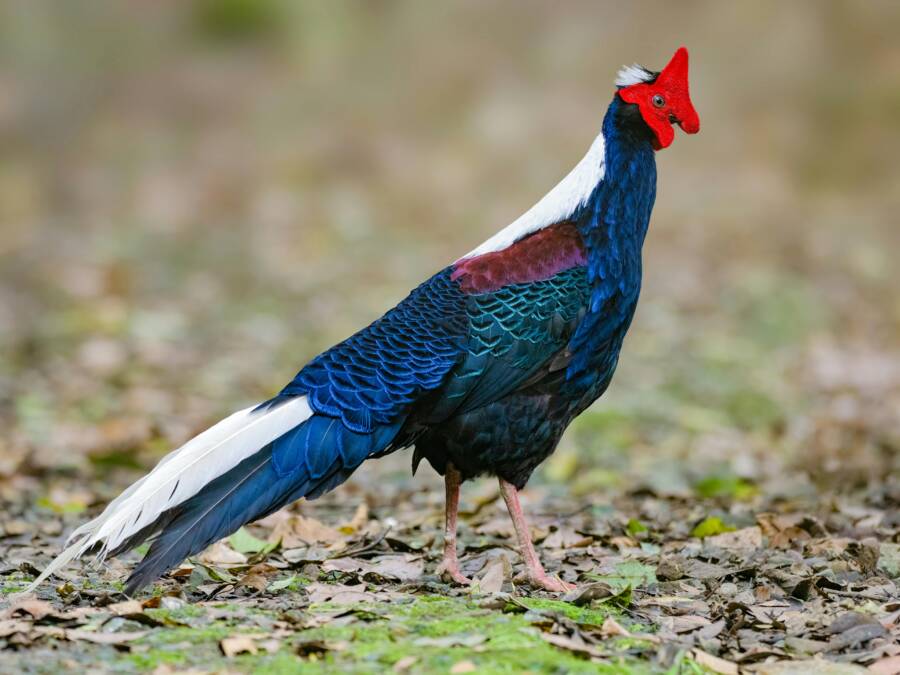 南投平日限定的超安靜景點清單 (避開人潮享受真正寧靜)