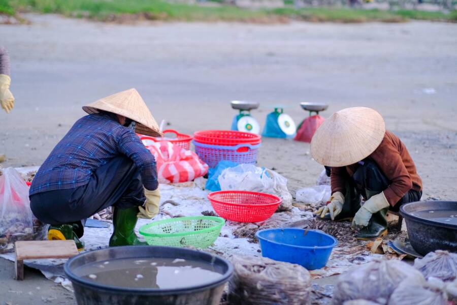 台東海景山景構圖入門地點指南：新手三大練習點與拍攝要點