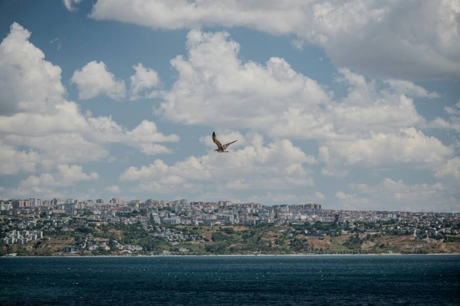 如何停止在關係裡過度付出：實用步驟與自我照顧，重建健康界限