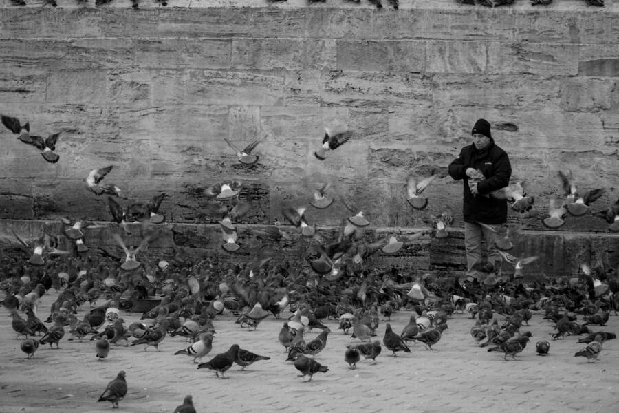 高雄新住民必用的步行路線：熟悉城市的安全慢走與地標導航