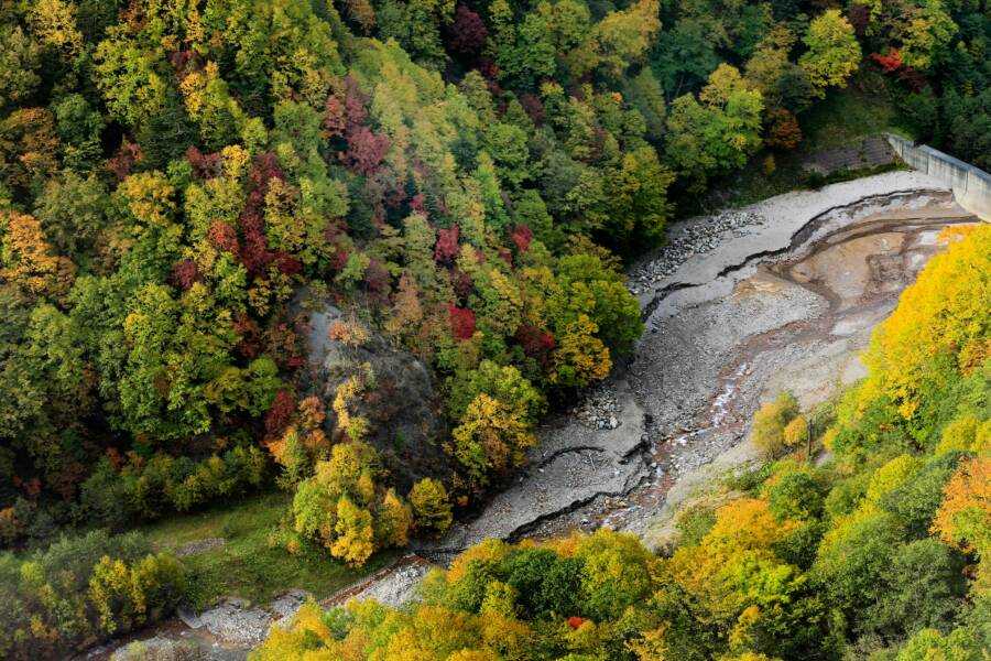 南部木棧道與茶園步道推車友善路線：高雄、屏東、台南的平坦路徑與休憩點評估