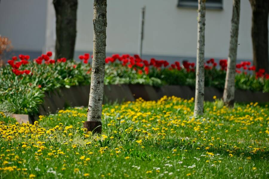 新北河濱腳踏車租借點全攻略：租借站、路線、景點一次看懂