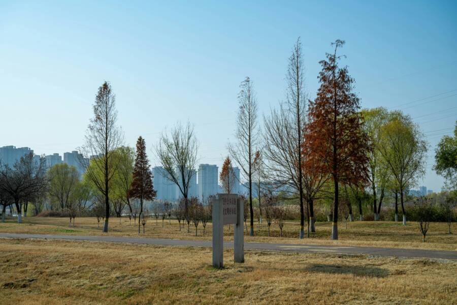 在晴朗的藍天下，城市天際線映襯著秋色宜人的城市公園美景。