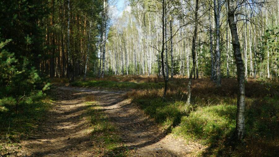 新北下午行程攻略：週末懶人提案三選，睡到自然醒也能玩得開心