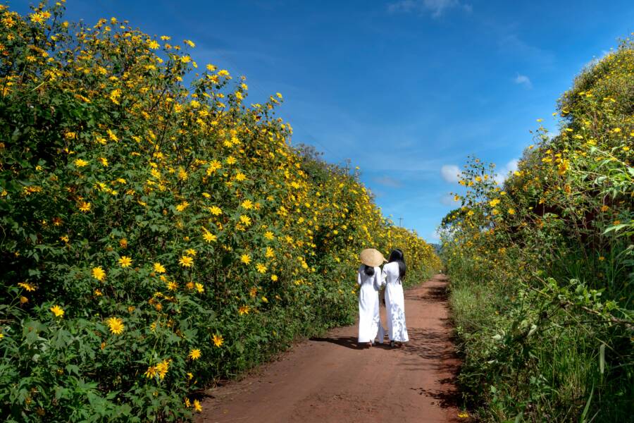 走在鮮花的身邊周圍的兩個女人