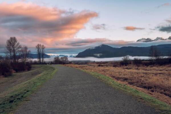 綠草田附近的灰色柏油路