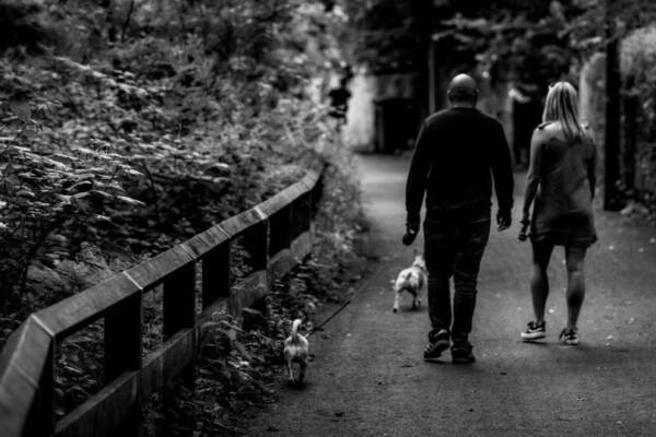 男人和女人在植物附近行走的灰度照片