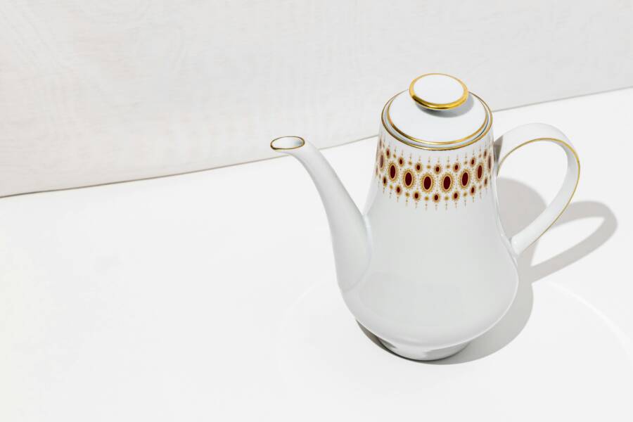 桃園帶寵物搭大眾運輸的一日路線示範：安全、舒適與實用攻略