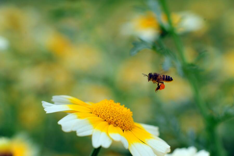 桃園大學生一日遊攻略：沒車也能玩的景點組合與交通省時路線