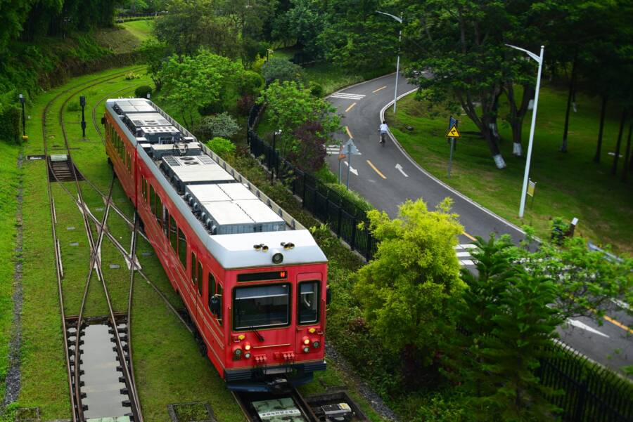 從高空拍攝的畫面顯示，一列紅色火車沿著軌道穿越鬱鬱蔥蔥的樹木。