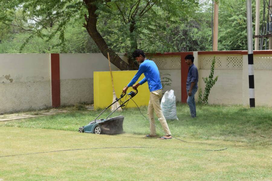 Electric vs Gas Lawnmowers at Home Depot: Find the Right Tool for Your Yard
