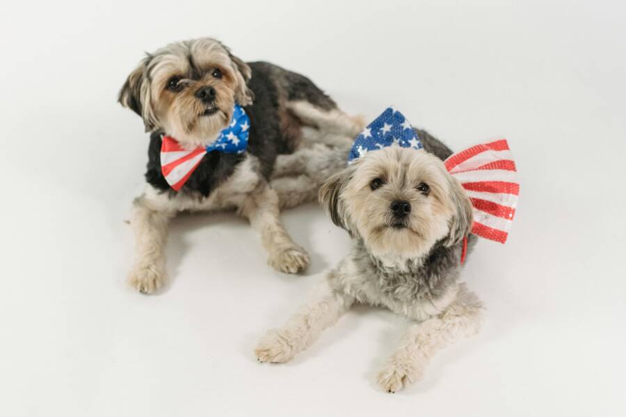 Home Depot Fourth of July Deals: What Is Usually Discounted