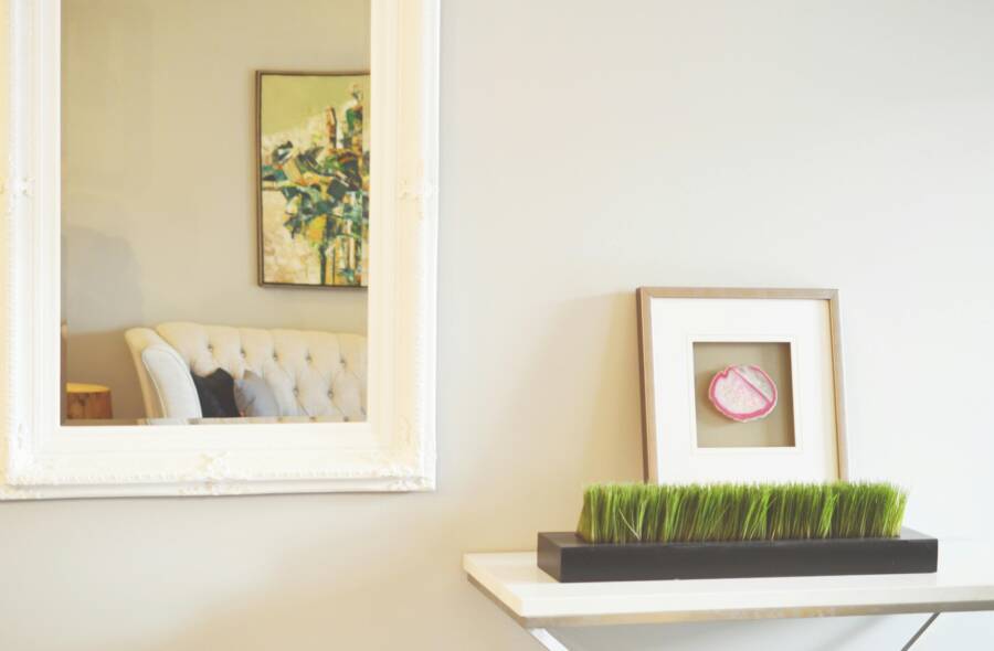 How to Use Home Depot Plants as Decor Inside Your Home