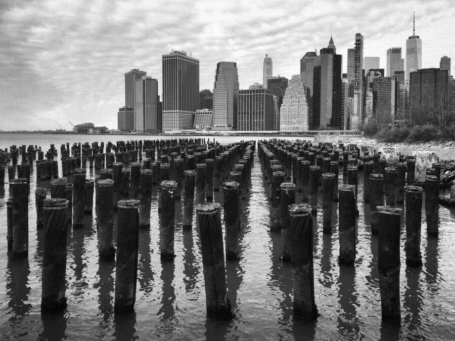 Marty Reisman’s Early Years and His New York Roots