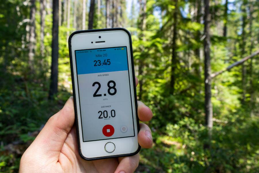 Smartphone tracking in a forest setting
