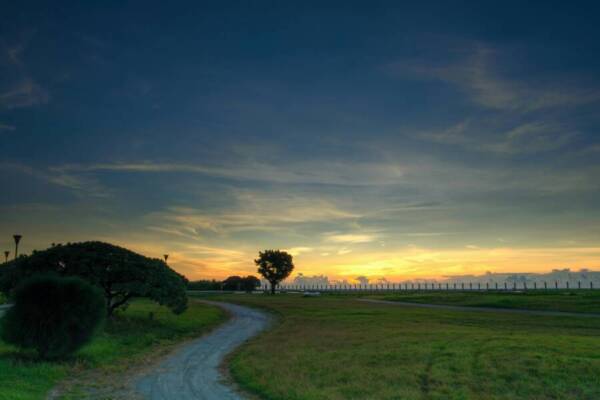 Tranquil park path leading through lush greenery under a vibrant sunset sky in Hualien, Taiwan