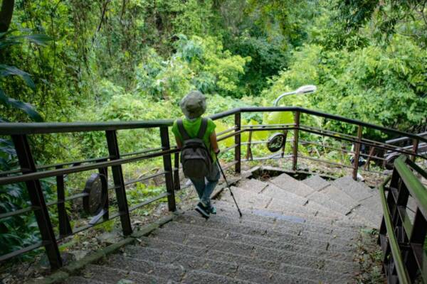 A woman strolling through a lush green park path