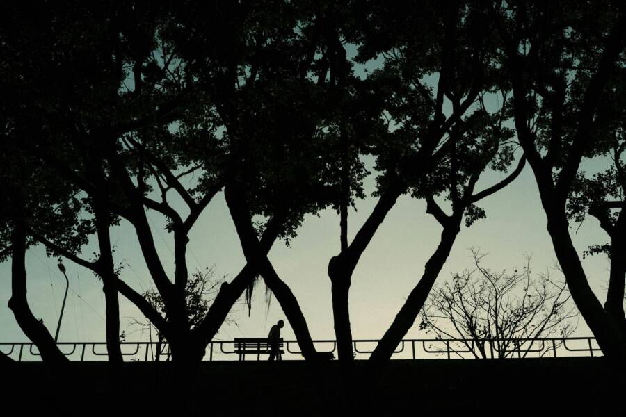 Elderly man walking by a bench in a park, framed by tree silhouettes at dusk