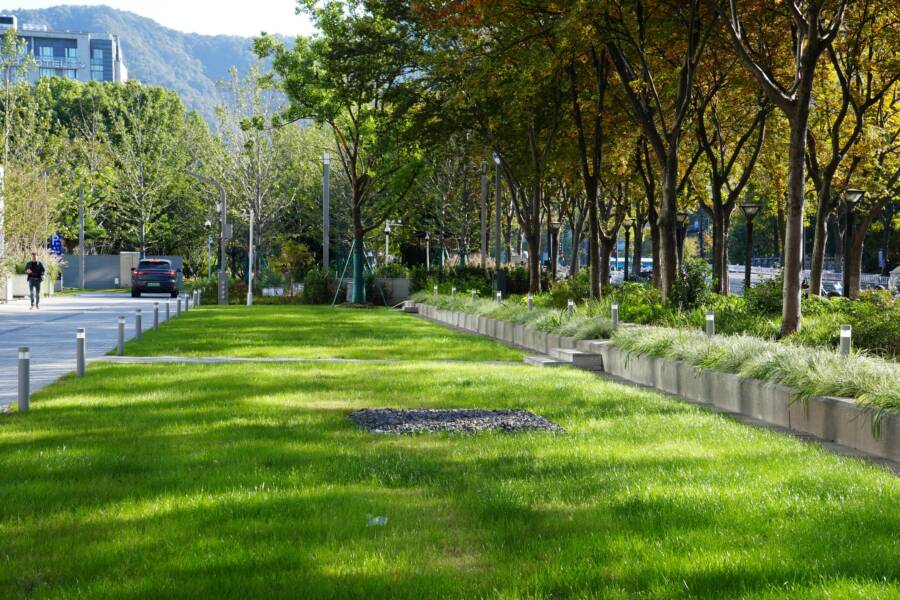 Tranquil urban park scene with autumn foliage, green lawn, and modern architecture under a sunny sky