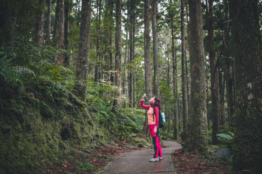A woman hikes through a dense forest in Taiwan, embracing nature