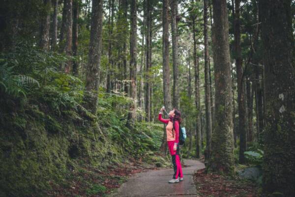 晨間山林與步道